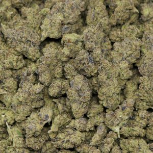 Alternative view of Zero Gravity