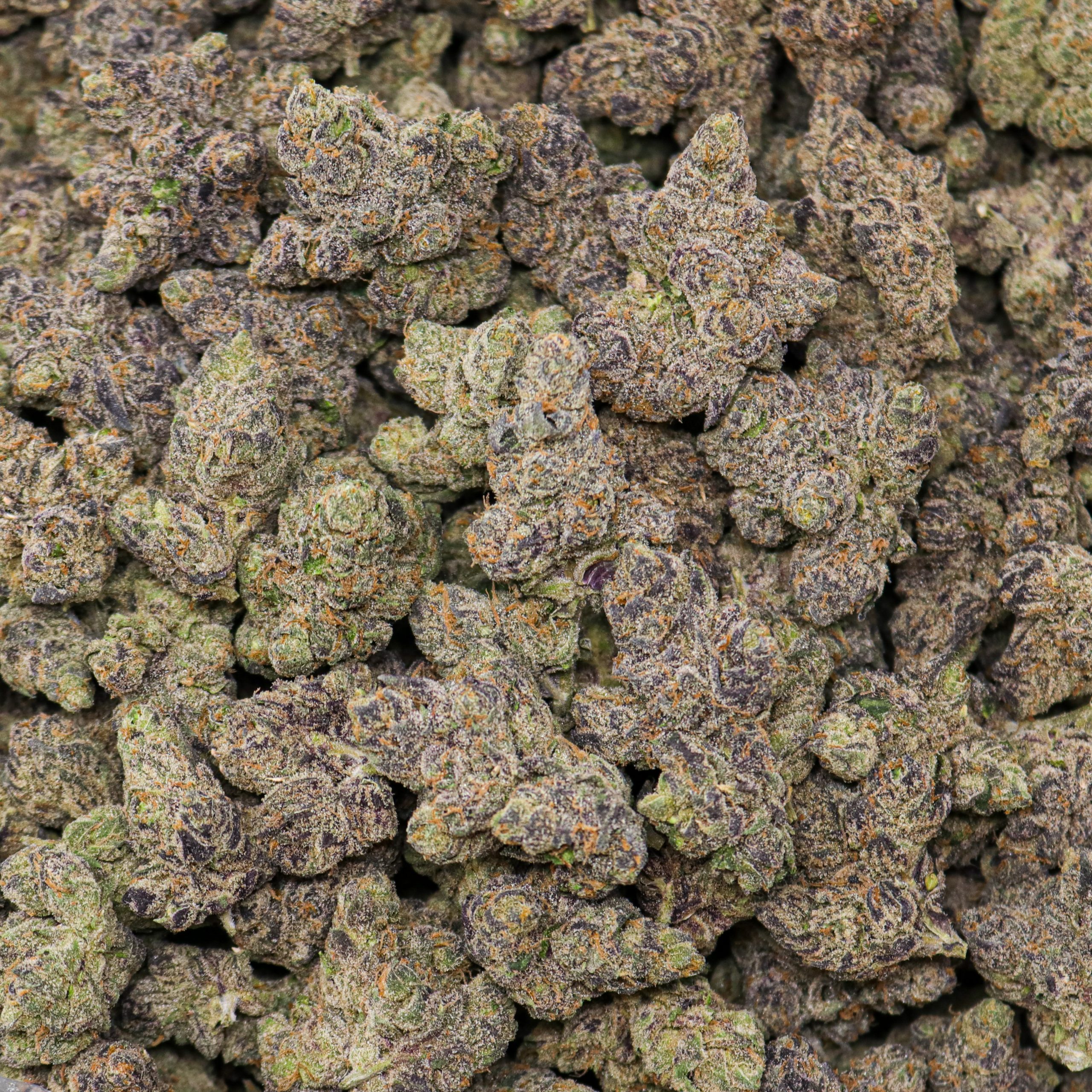 Galactic Warhead - Image 2