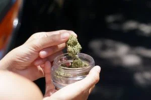 How Many Grams Are in a Quarter Ounce of Cannabis?