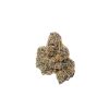 White Cherry Gelato