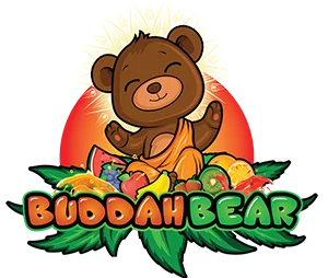 Buddah Bear