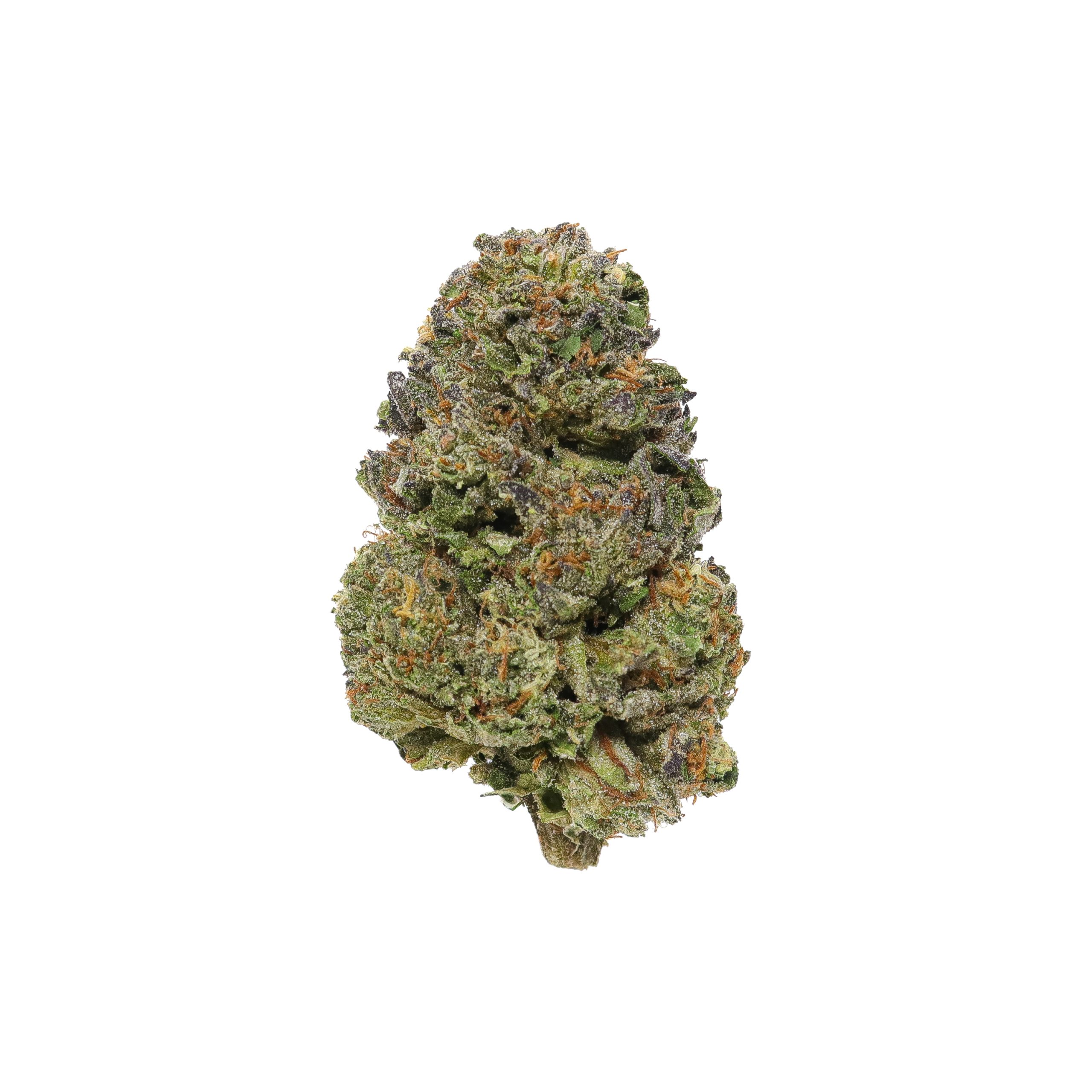 Blue Cookies