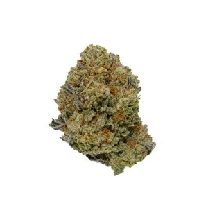 Gelato King