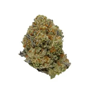 Gelato King