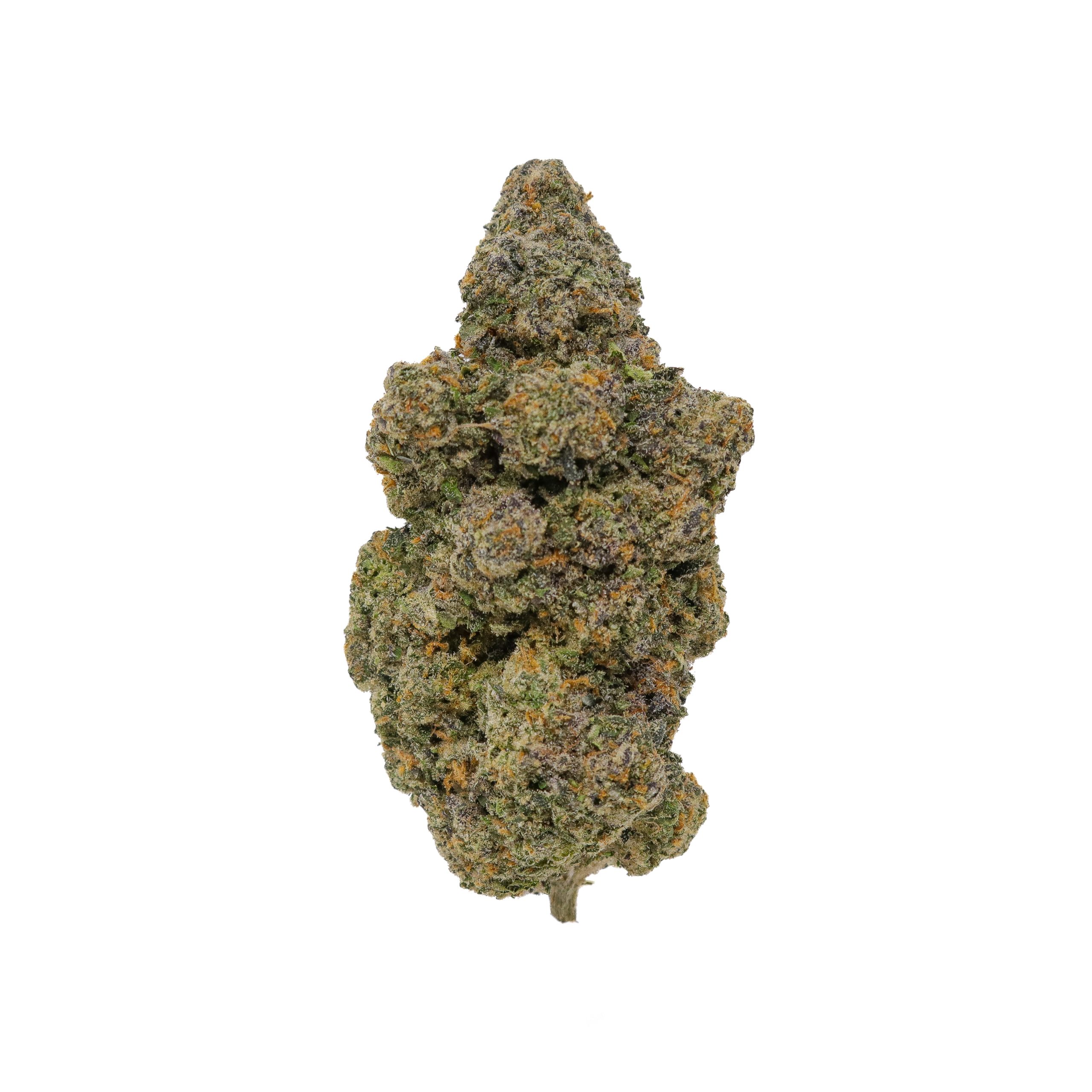 Nightshade