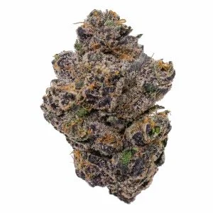 Tropicana