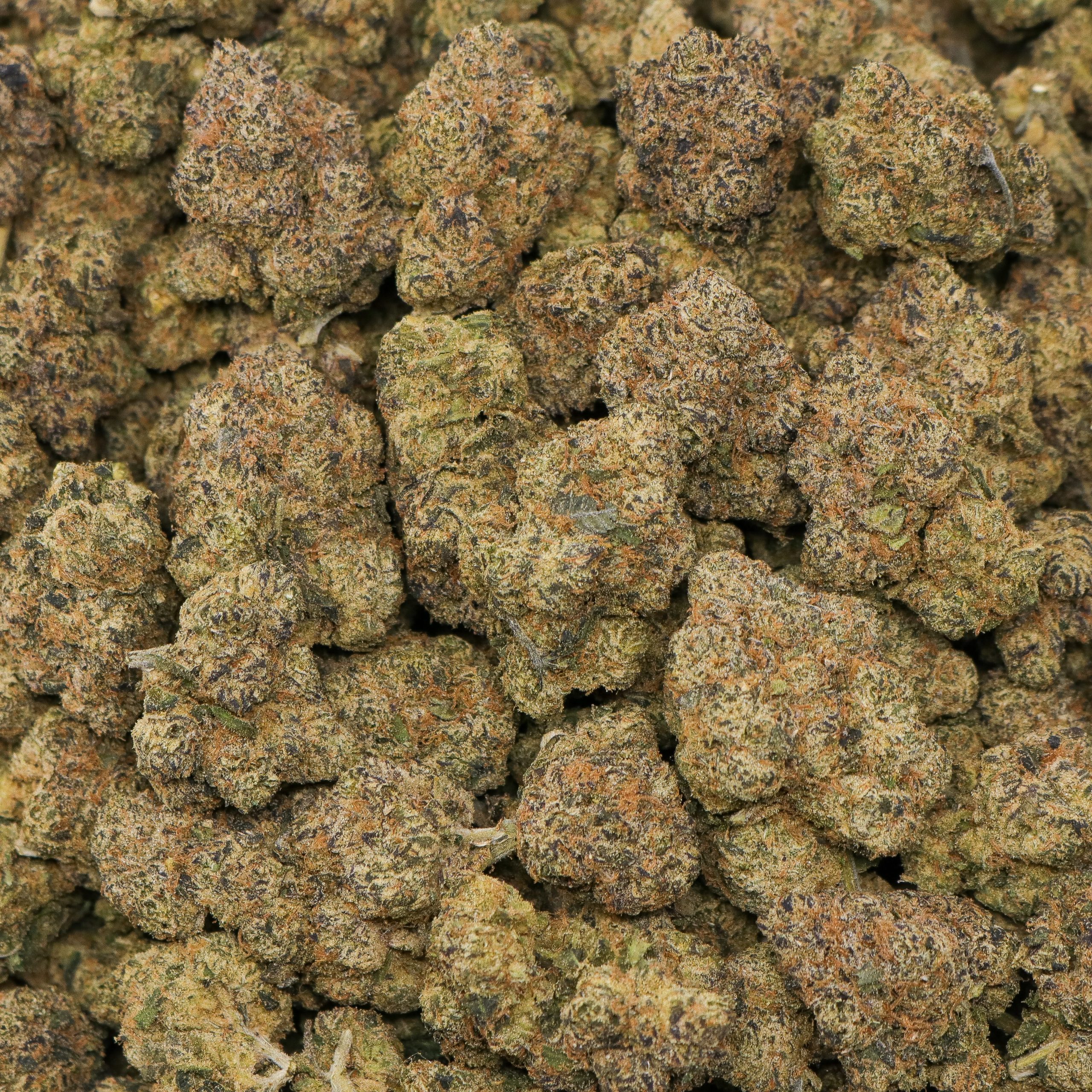 Bubblegum Gelato - Image 2