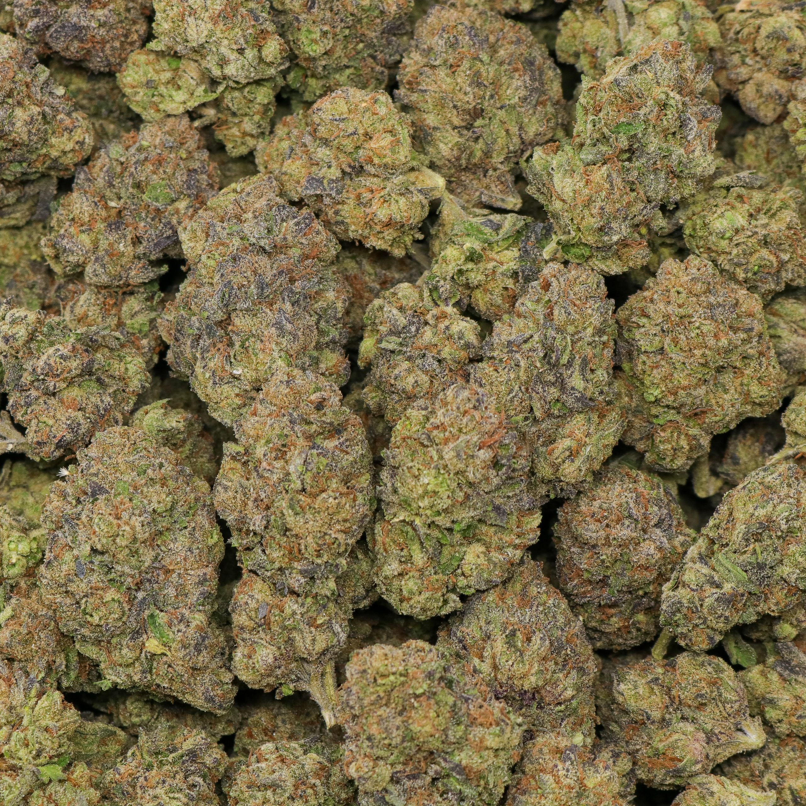 Candy Vuitton - Image 2