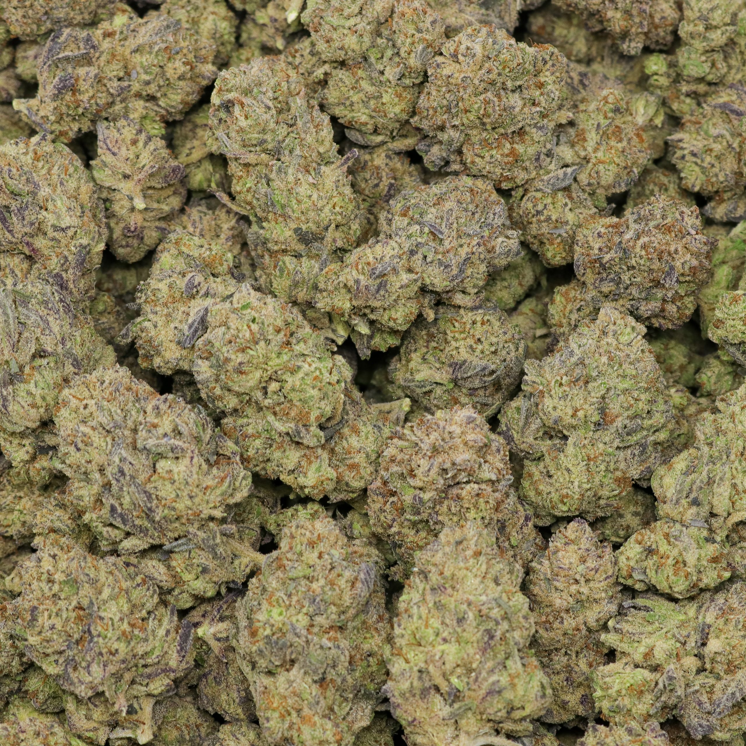 Frosted Cookies - Image 2