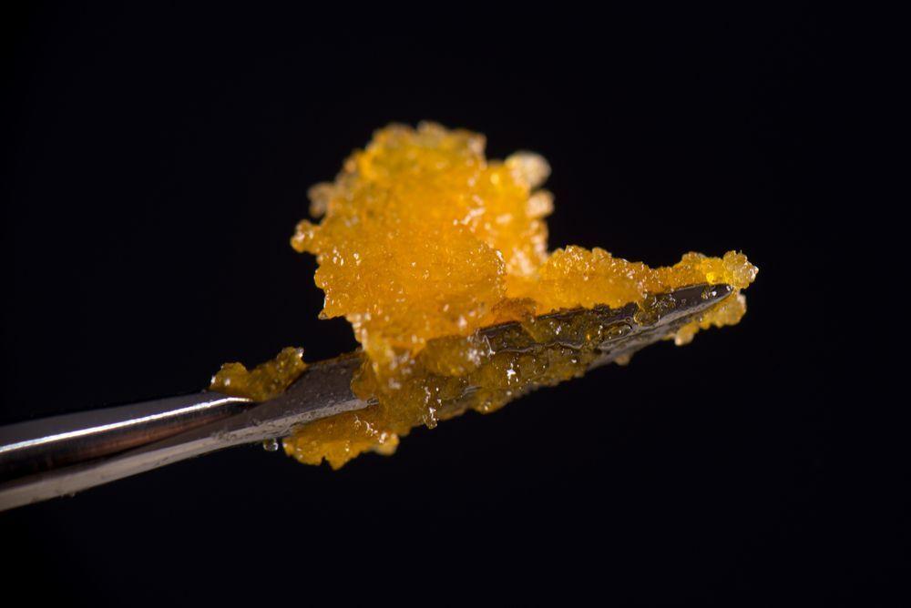 concentrate