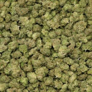 Legend OG smalls - Image 2