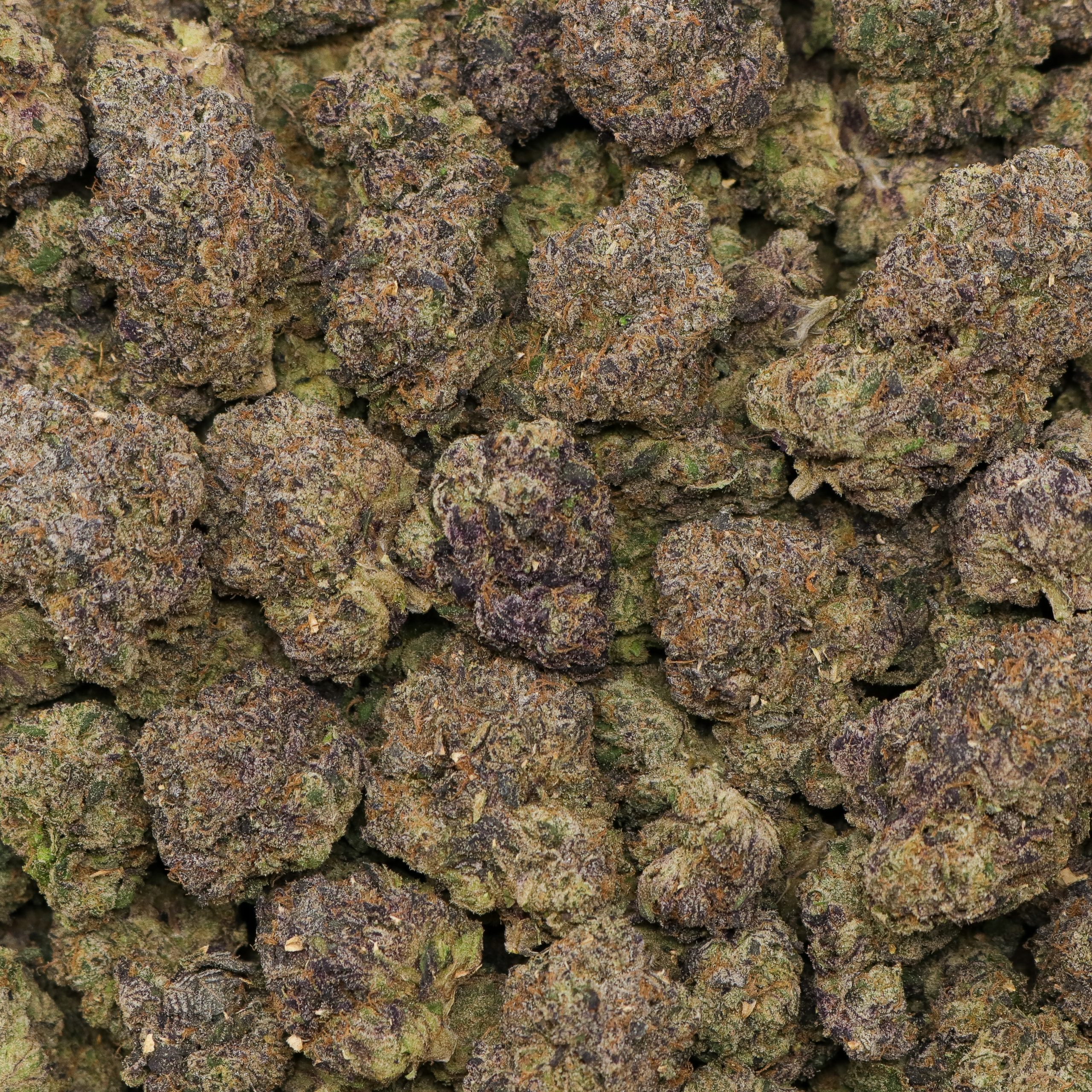 Lipsmackerz - Image 2
