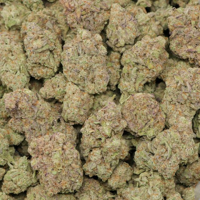 Miracle Alien Cookies - Image 2