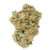 Miracle Alien Cookies
