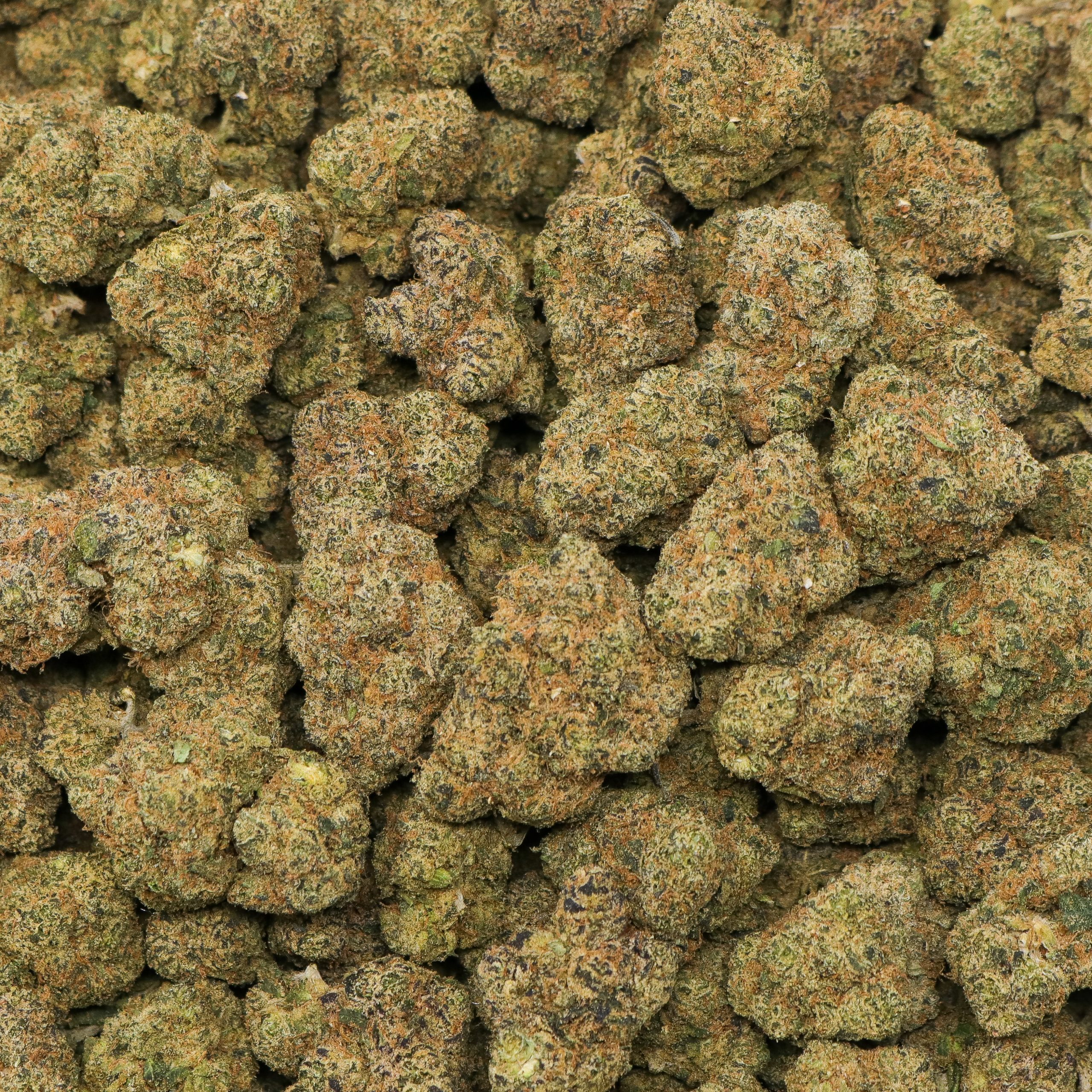Pink Candy - Image 2