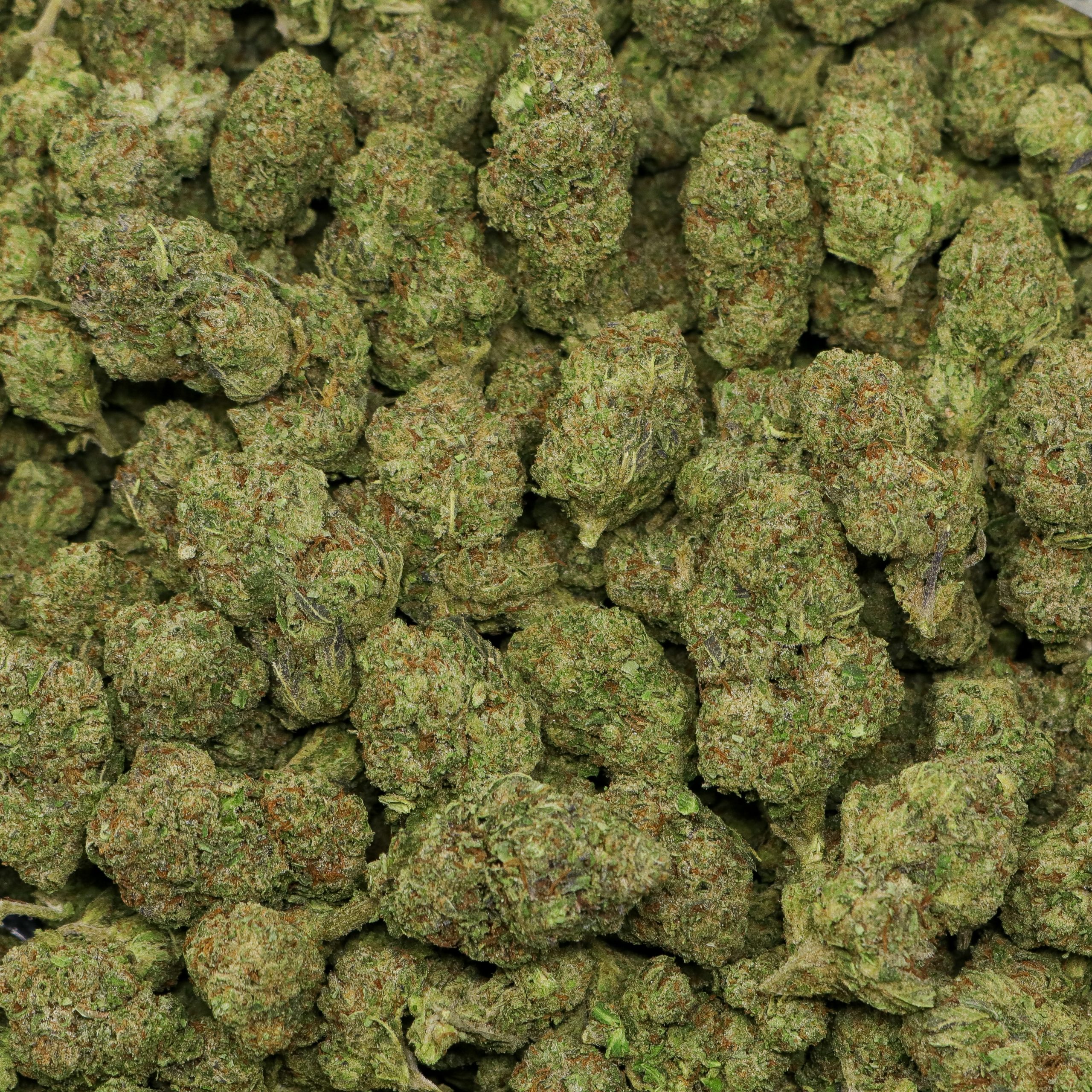 Sour Bangers - Image 2