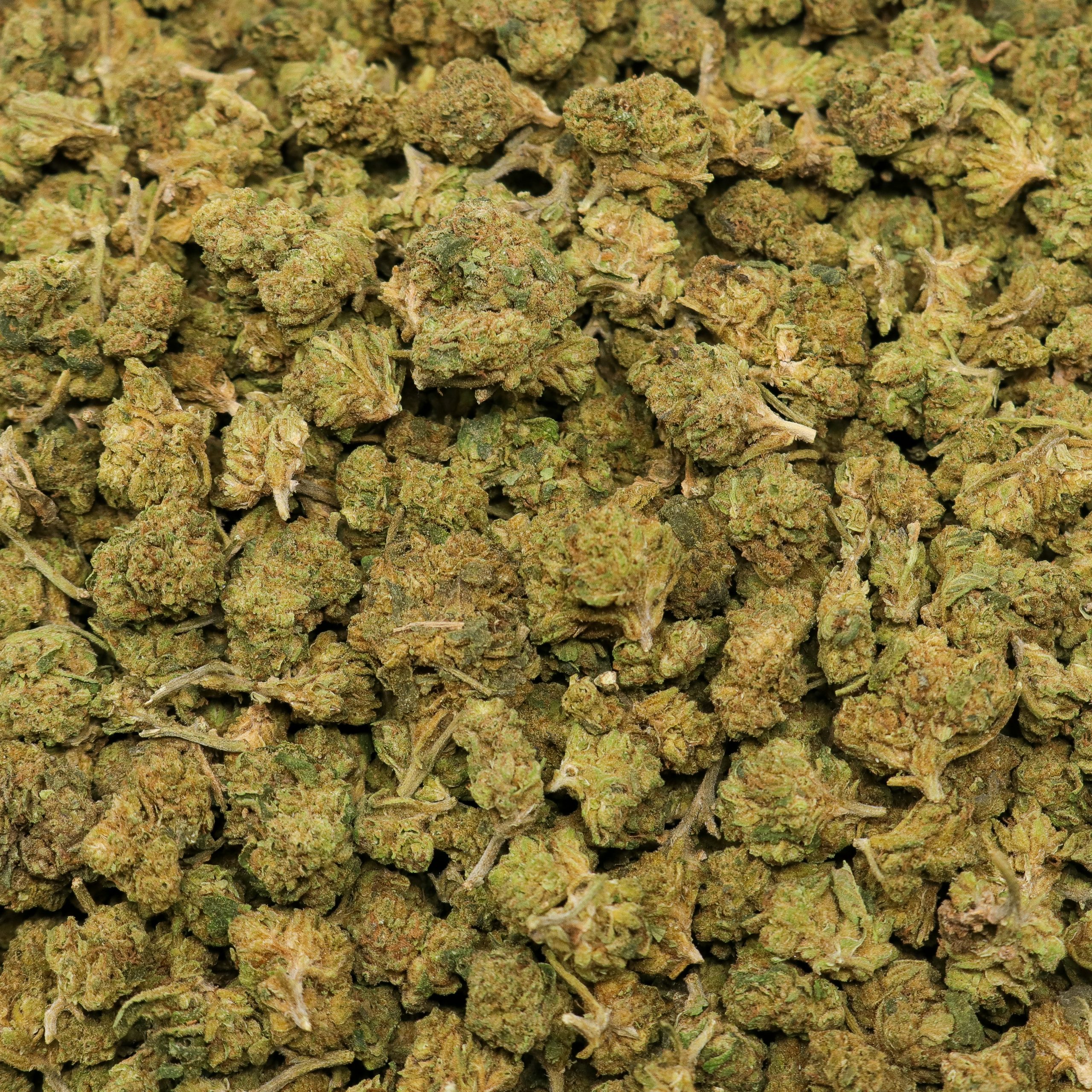 White Widow Smalls - Image 2