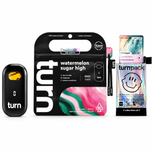 Turn Botanica Blends AIO (2g) - Watermelon Sugar High