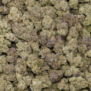 Blueberry DLG - Image 2