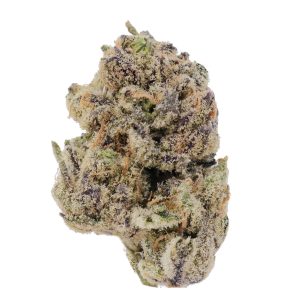 Blueberry DLG