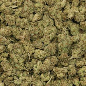Gelato Mediums - Image 2