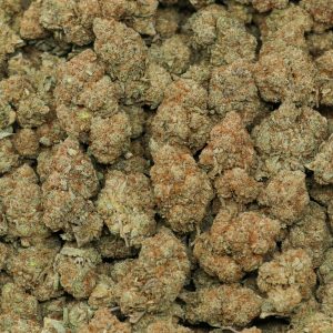 GG4 - Image 2