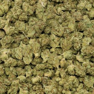 Gorilla Glue Mediums - Image 2