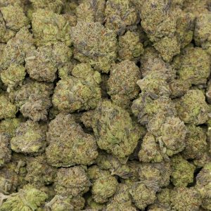 GMO Cookies - Image 2