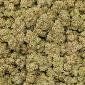 Headband OG - Image 2