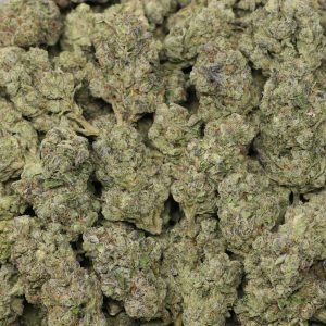 Kush Mintz - Image 2