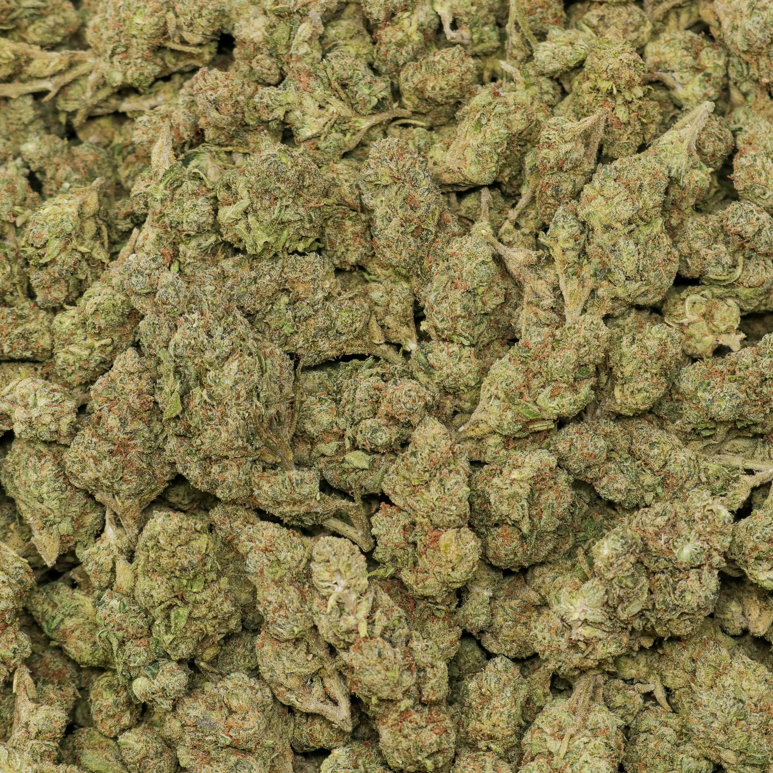 LCG - Image 2