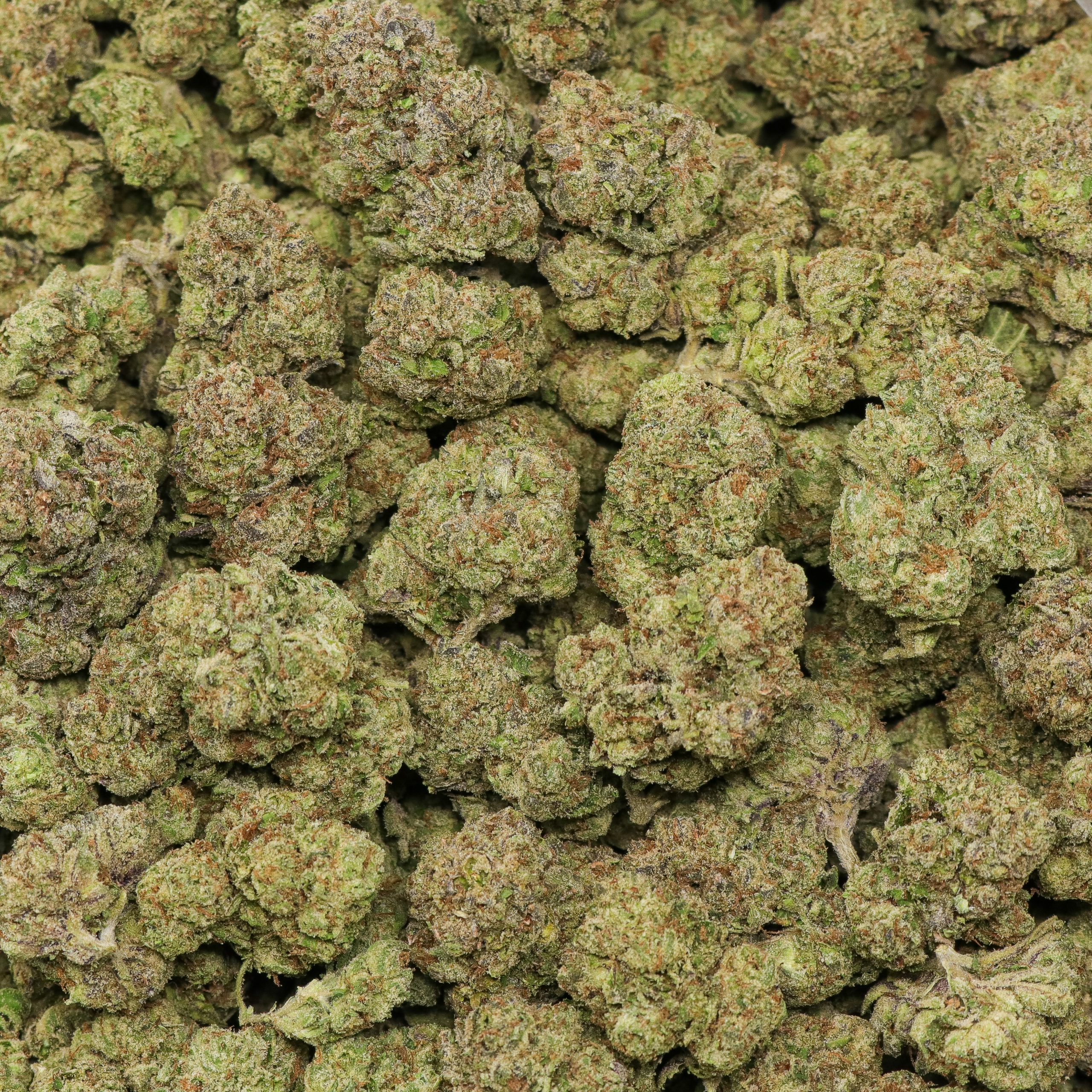 Sour Candy - Image 2