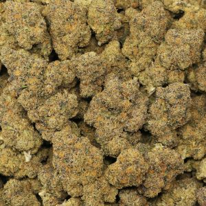 Gelato 41 - Image 2