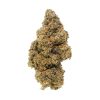 Gelato 41