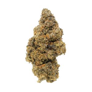 Gelato 41