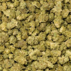 GG4 Smalls - Image 2