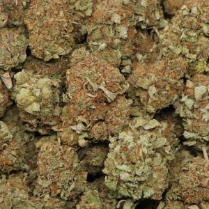 Platinum Bubba - Image 2