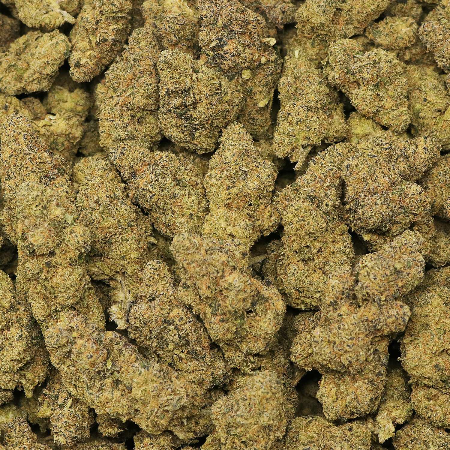 Top Shelf Jack Herer - Image 2