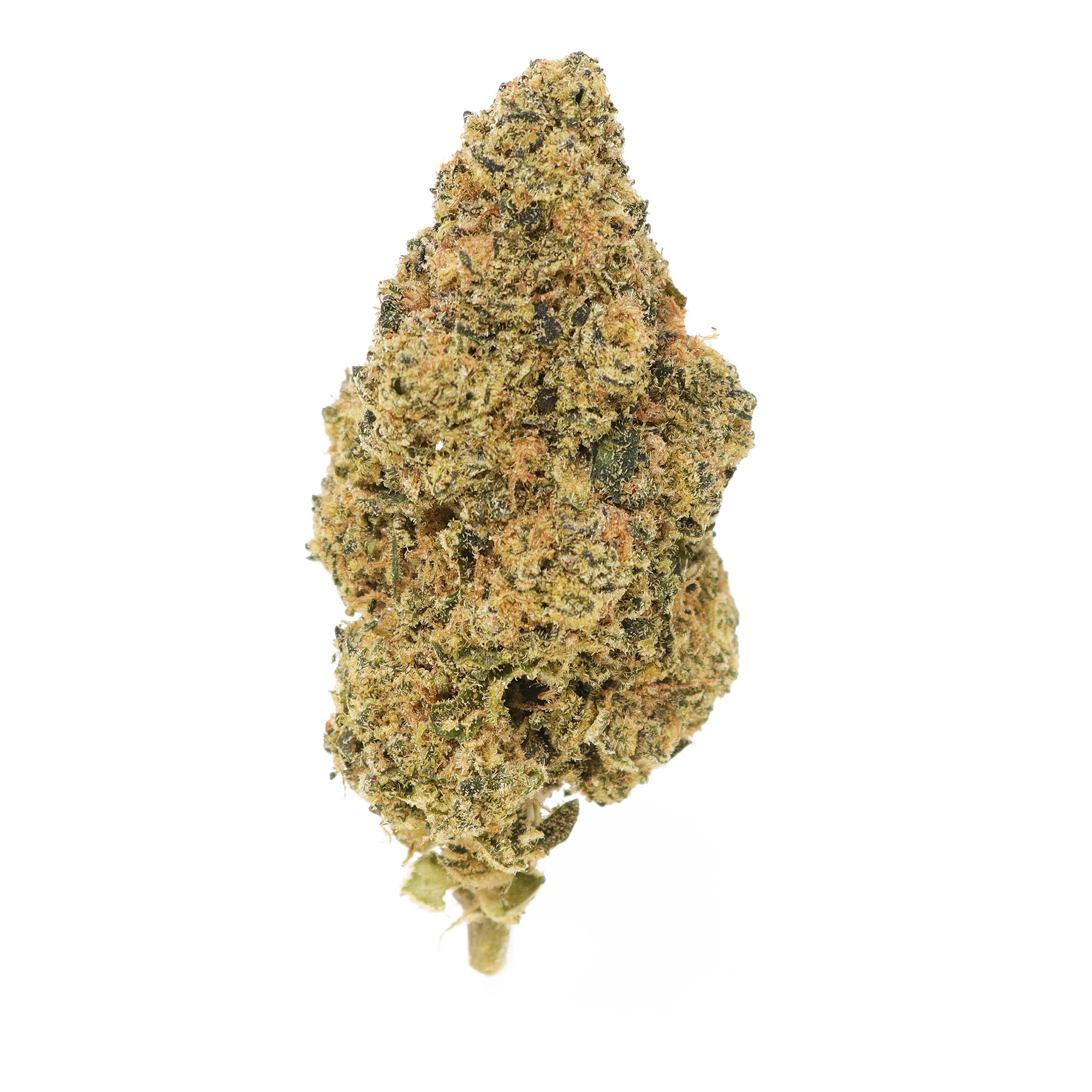 Top Shelf Jack Herer