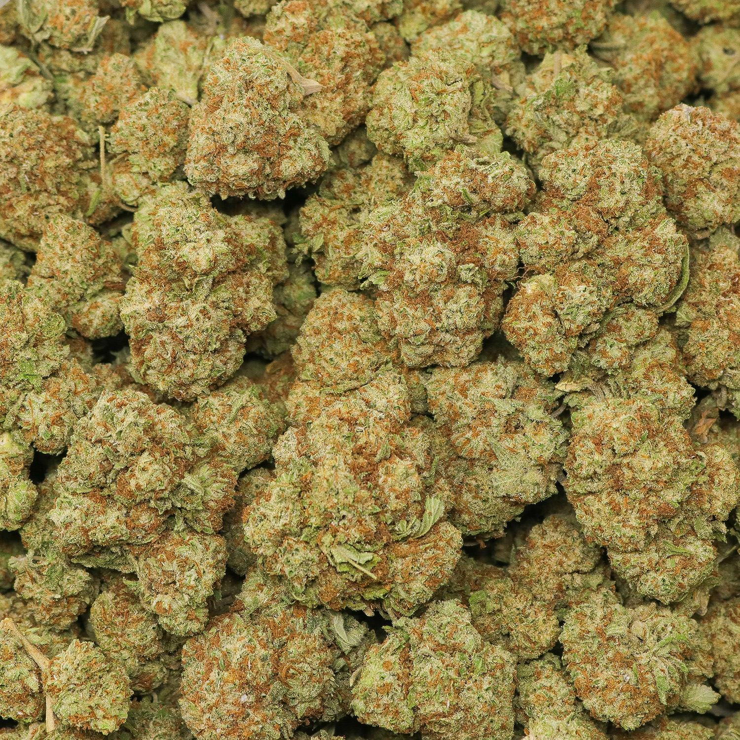 Value Gelato King - Image 2
