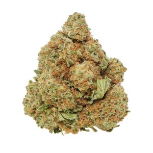 Value Gelato King