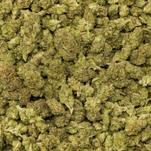 Value GG4 - Image 2