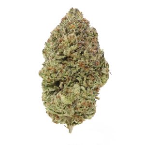 Gelato King